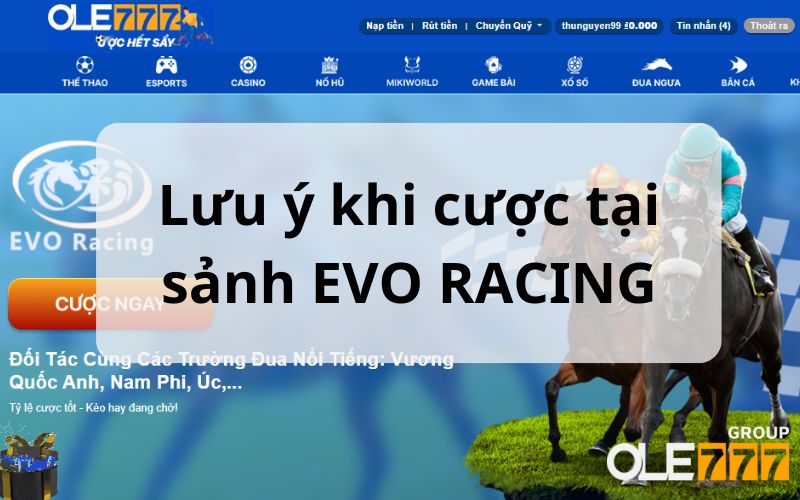 Lưu ý quan trọng khi đặt cược ở sảnh EVO RACING